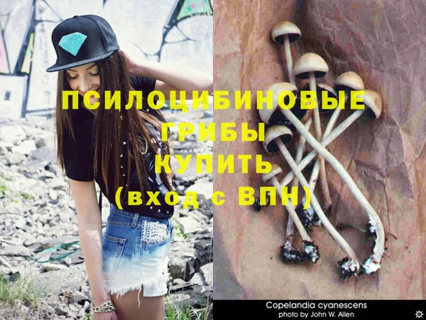 метадон Белоозёрский