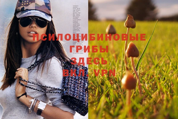 дурь Белокуриха